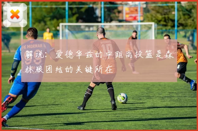 解说：爱德华兹的中距离投篮是森林狼团结的关键所在