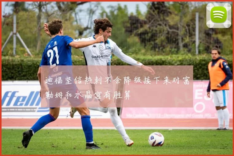 迪福坚信热刺不会降级接下来对富勒姆和水晶宫有胜算